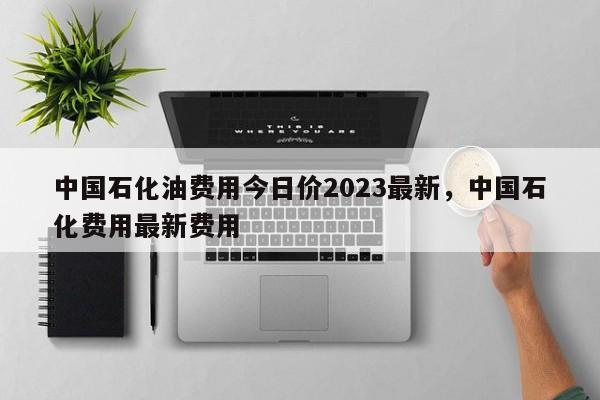 中国石化油费用今日价2023最新，中国石化费用最新费用-第1张图片-俊秀百科