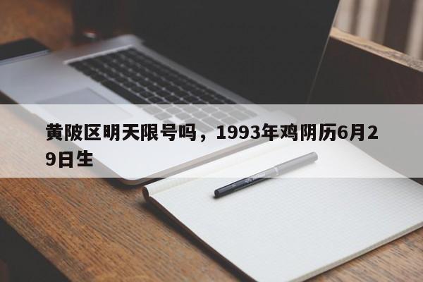 黄陂区明天限号吗，1993年鸡阴历6月29日生-第1张图片-俊秀百科